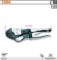 beta 1604