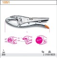 beta 1051
