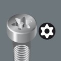 torx_bo.jpg