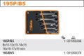 beta 195P/B5