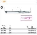 Beta 1251
