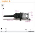 beta 1930HLA